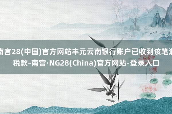 南宫28(中国)官方网站丰元云南银行账户已收到该笔退税款-南宫·NG28(China)官方网站-登录入口